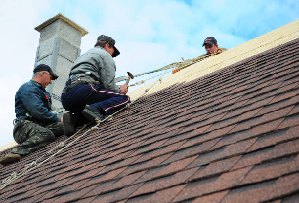 Roof Gutter Cleaning in Grill, PA